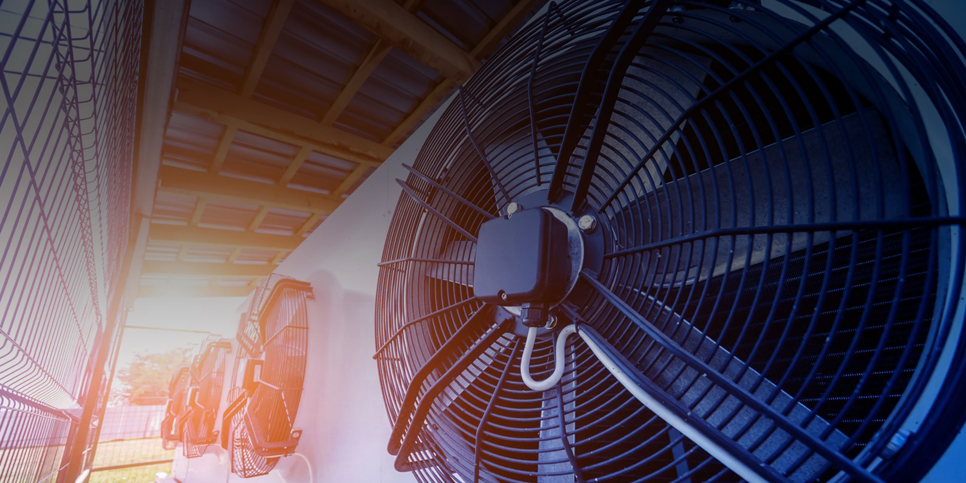 绍兴志成风机有限公司